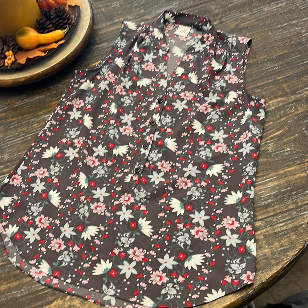 Cabi Blouse